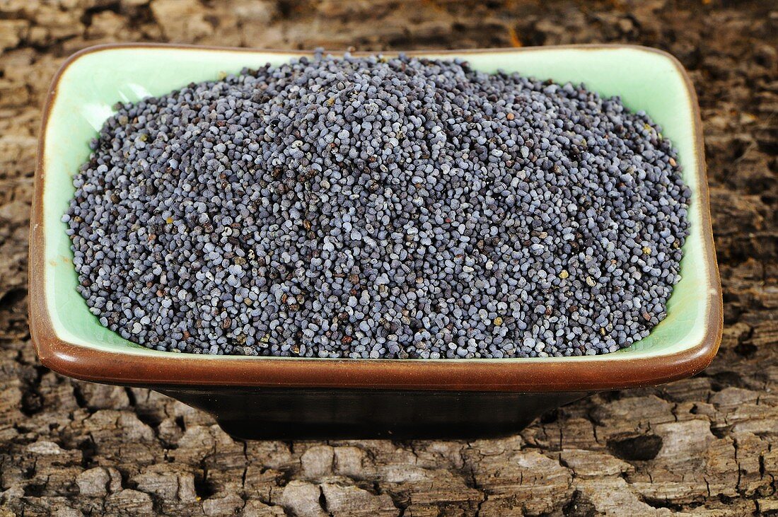 Opium poppy seeds in a dish