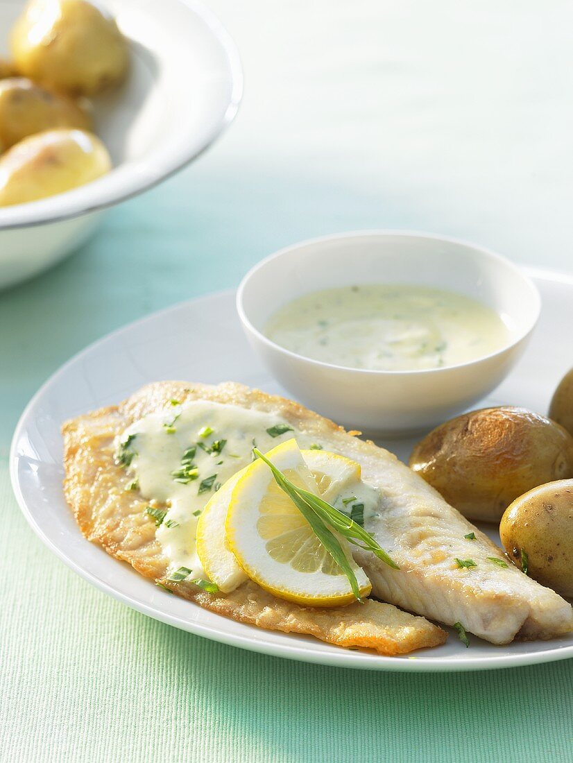 Tilapia fillets with tarragon & mustard sauce and potatoes