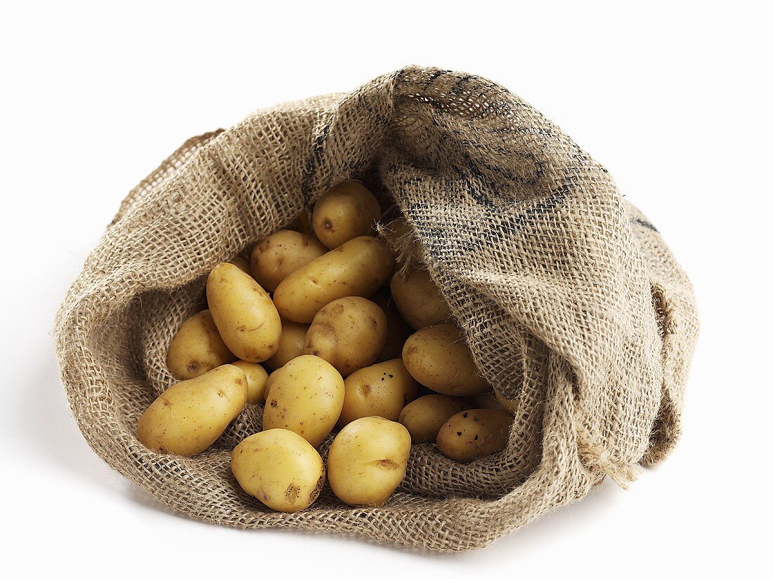 Potatoes in jute sack