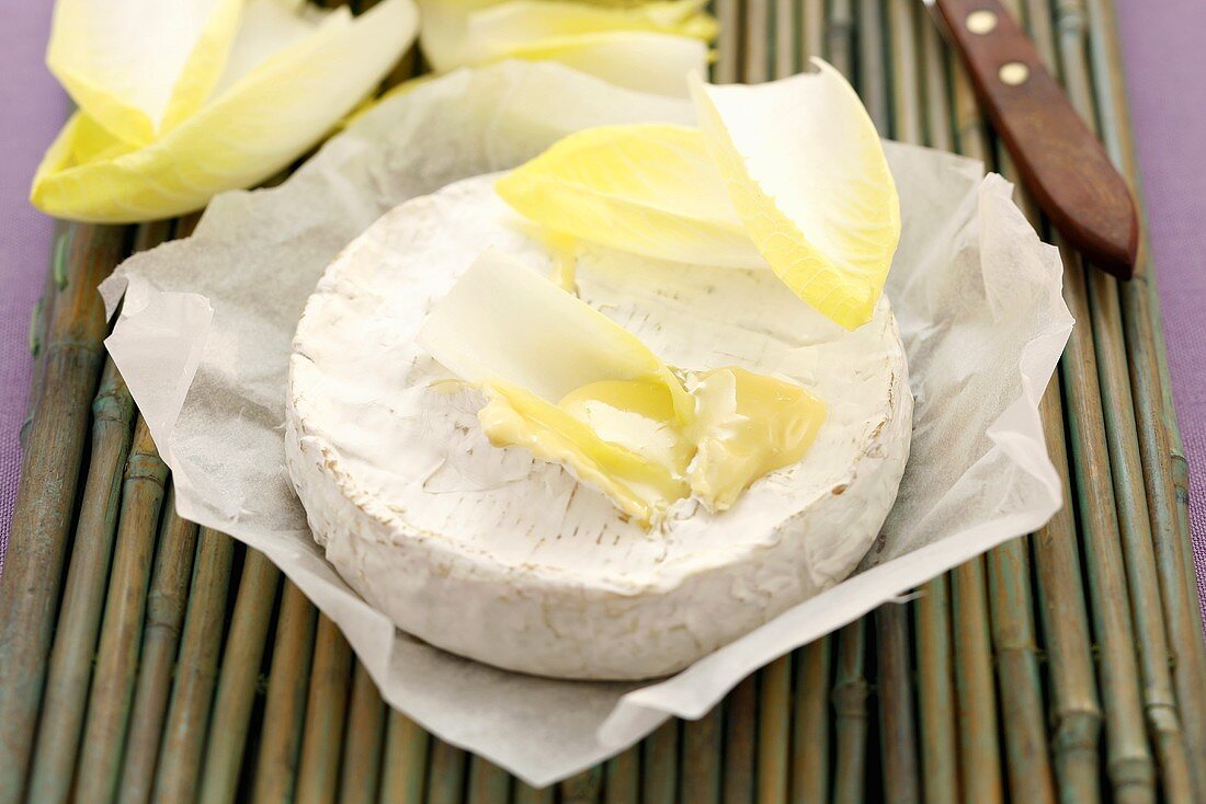 Camembert mit Chicorée