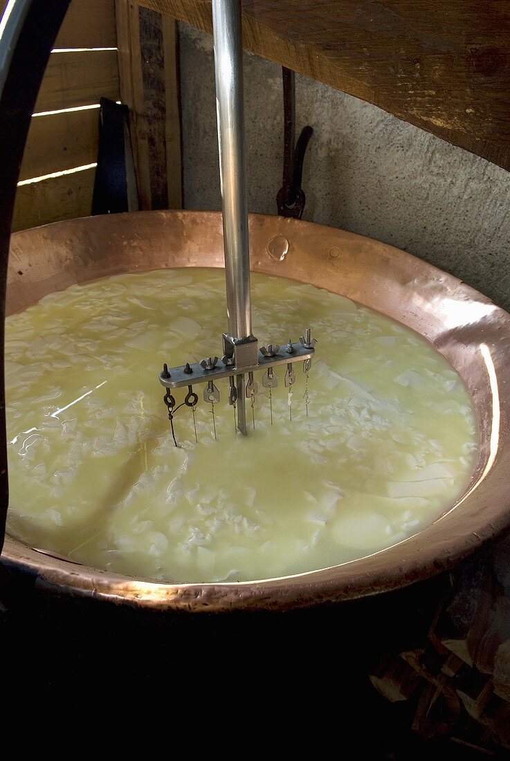 Making ricotta: cheese harp in copper vat