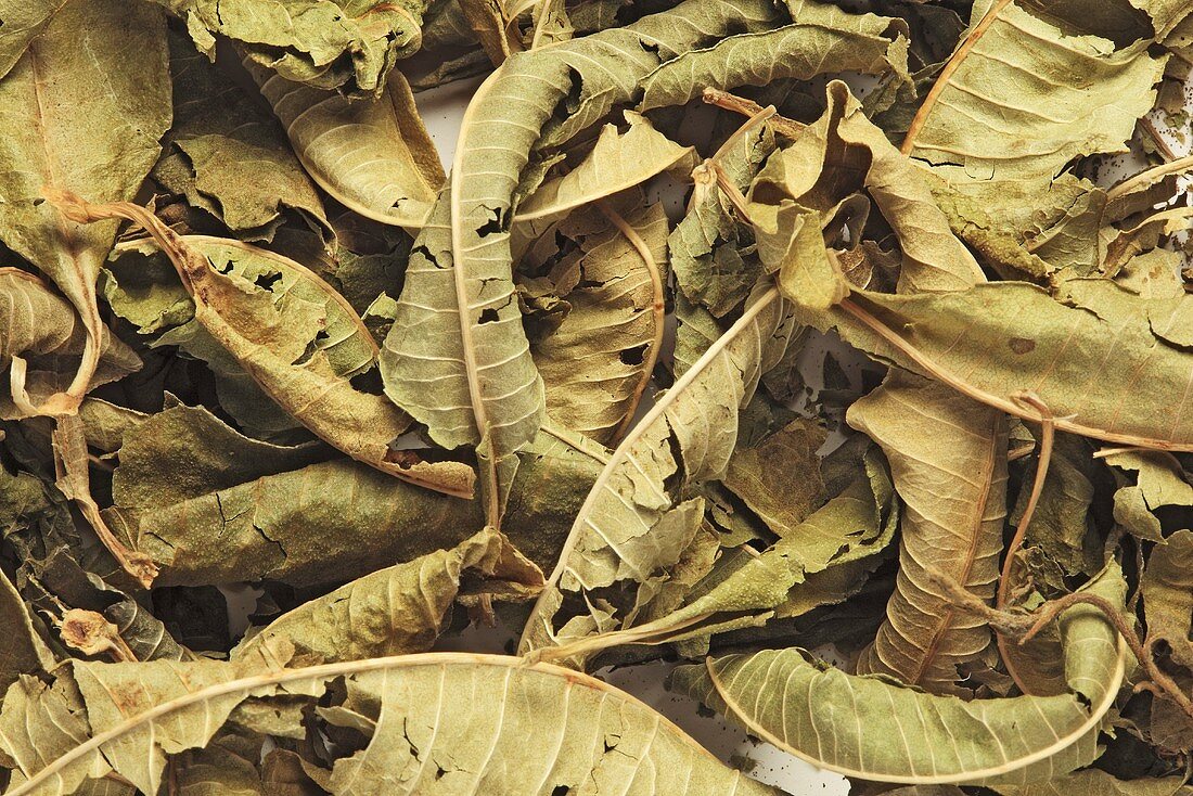 Dried verbena leaves (full-frame)