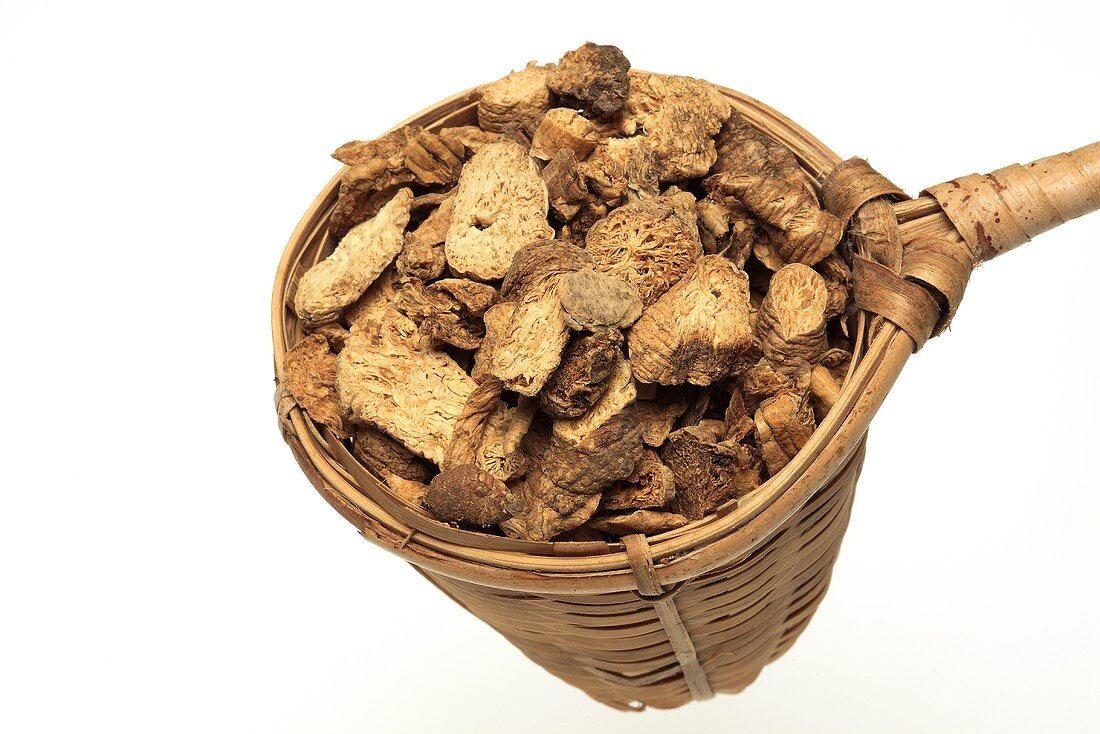 Dried ladybell root (Adenophorae radix, Na sha shen)