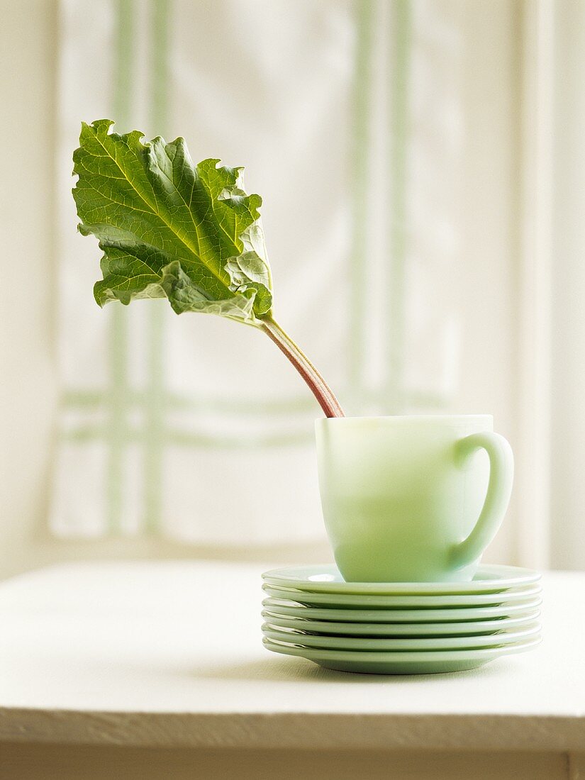 Rhubarb leaf in a cup on a pile of plates