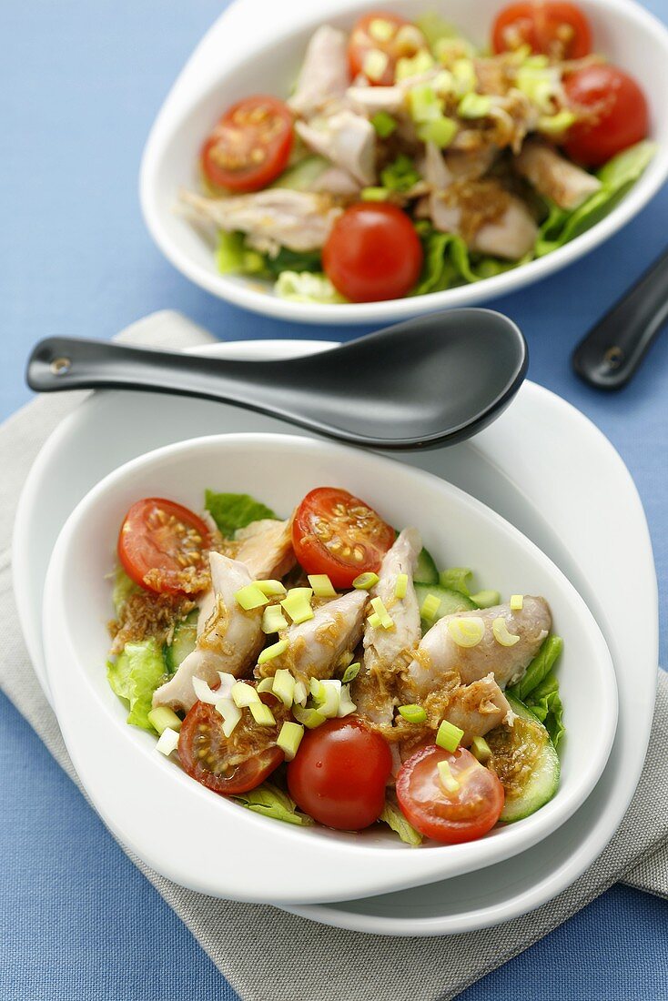 Chicken salad with cucumber, tomatoes and ginger dressing