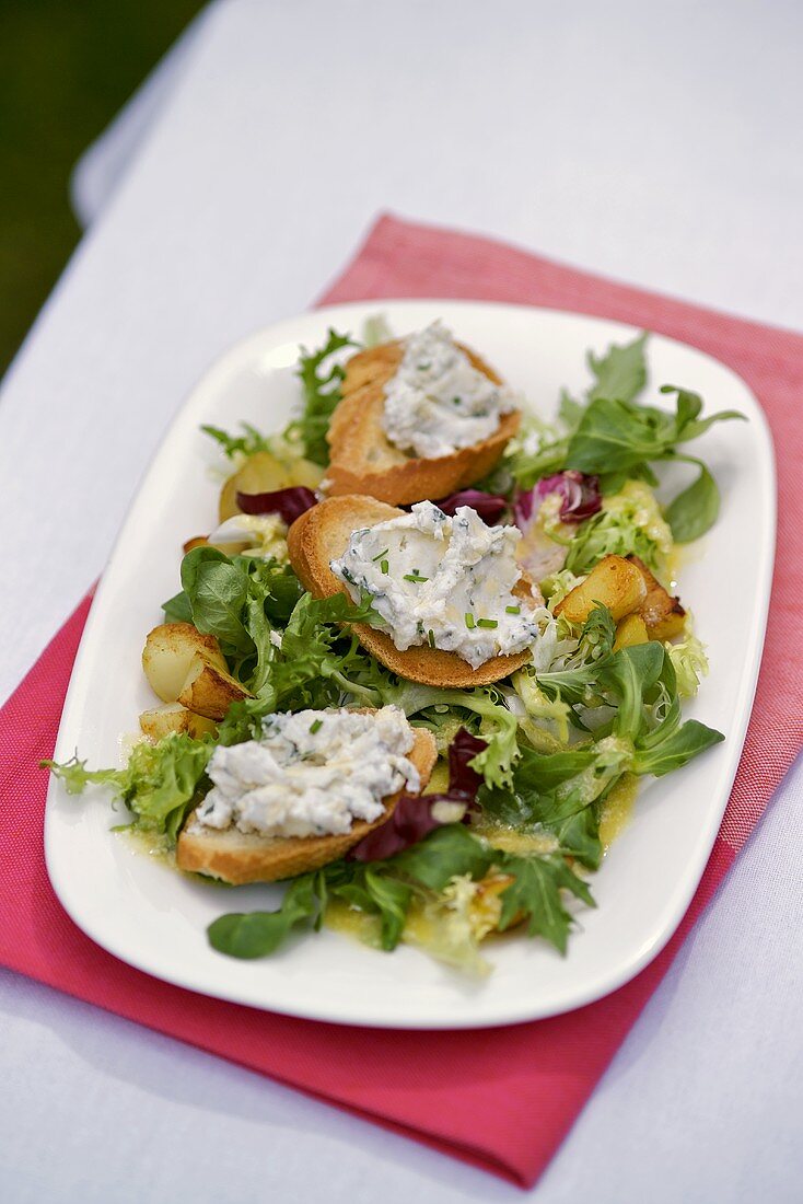 Cheese spread on toast on salad leaves