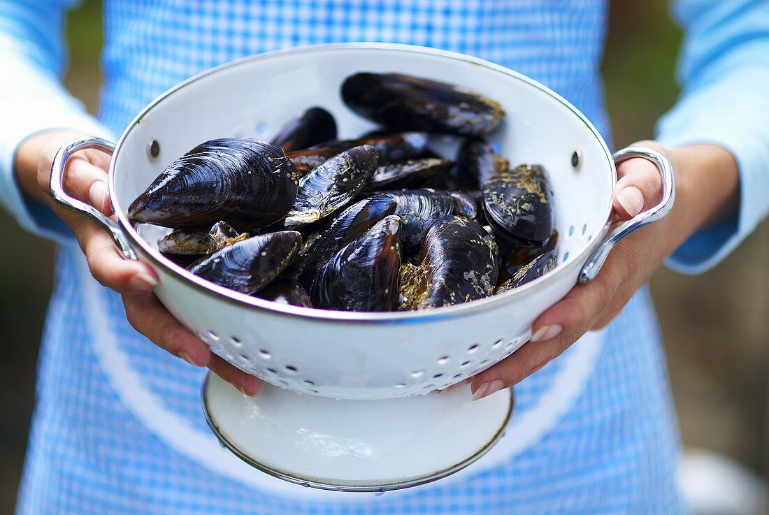 Woman holding mussels in colander