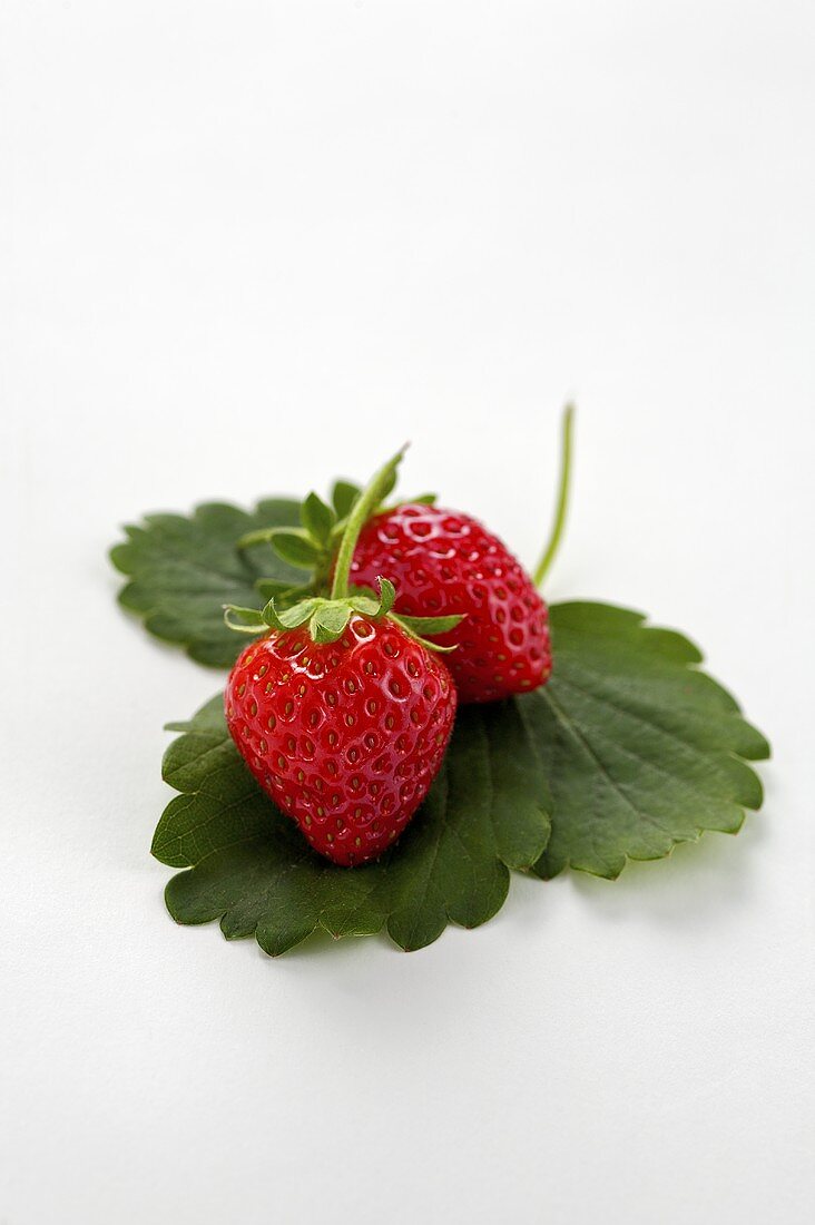 Strawberries on leaves