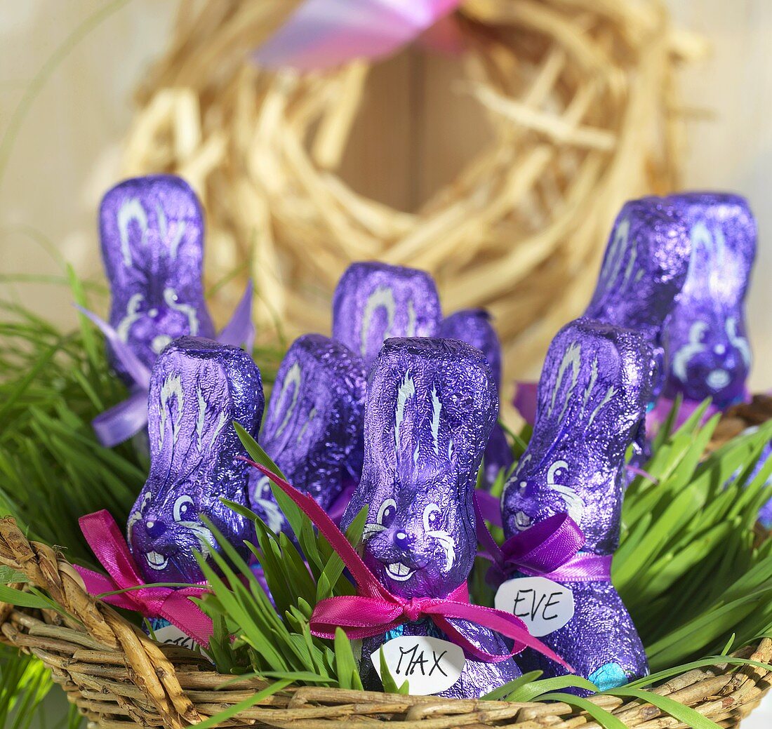 Purple chocolate bunnies in Easter nest