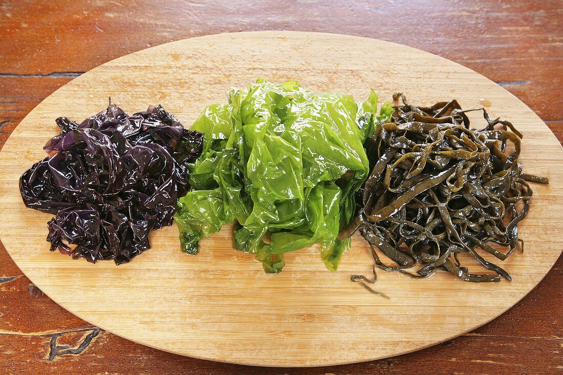 Various types of seaweed
