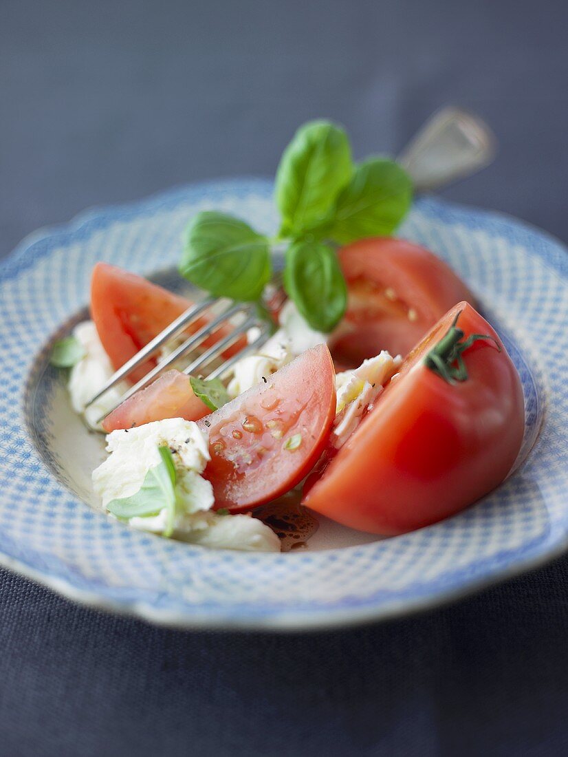 Tomaten mit Mozzarella und Basilikum