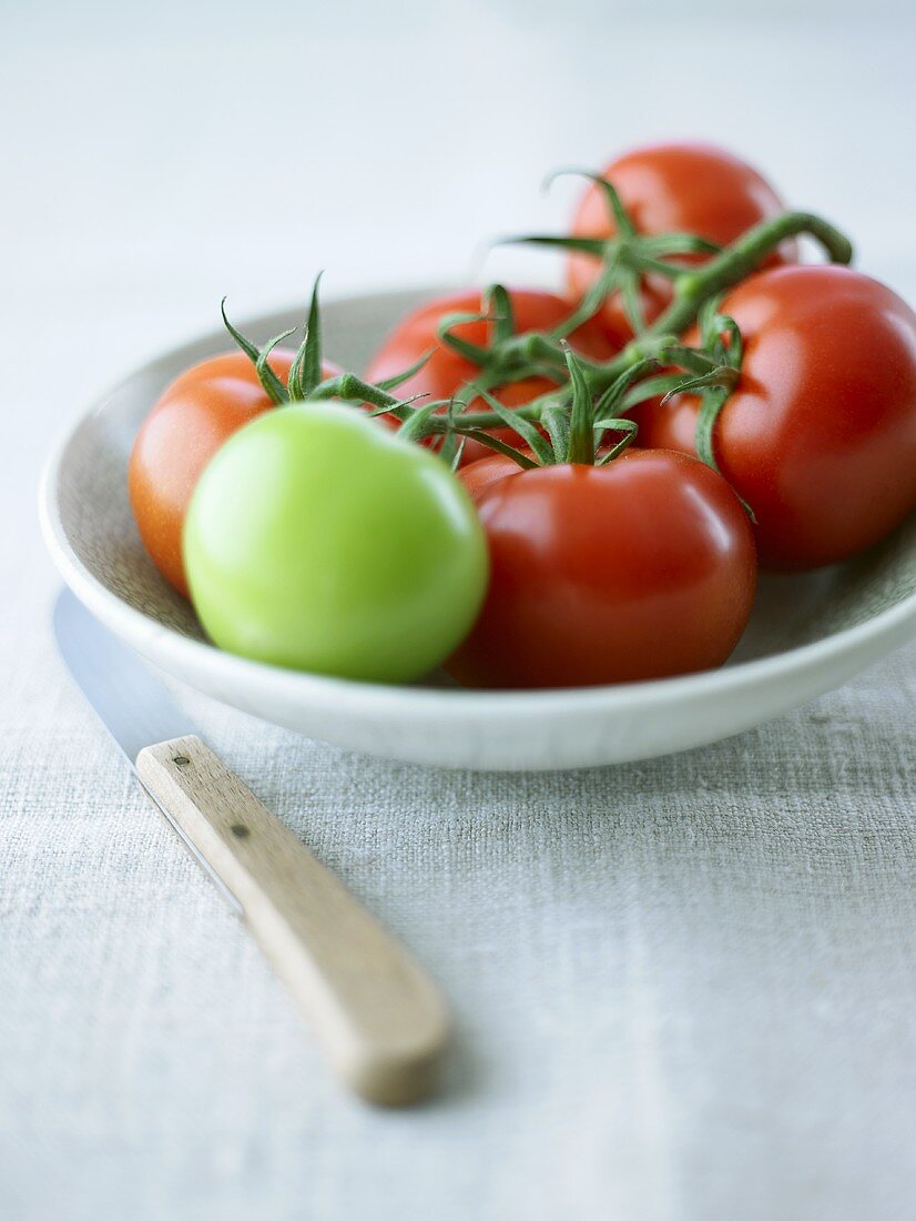 Fünf reife und eine unreife Tomate