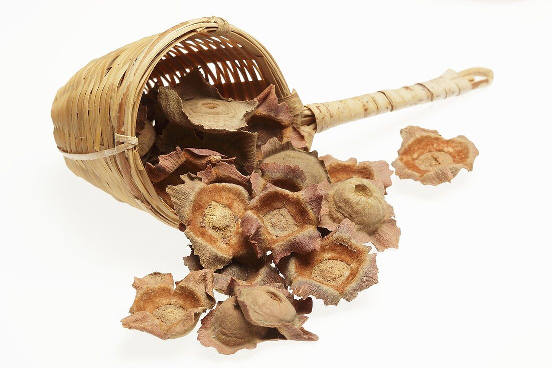 Dried persimmon calyxes in a tea strainer