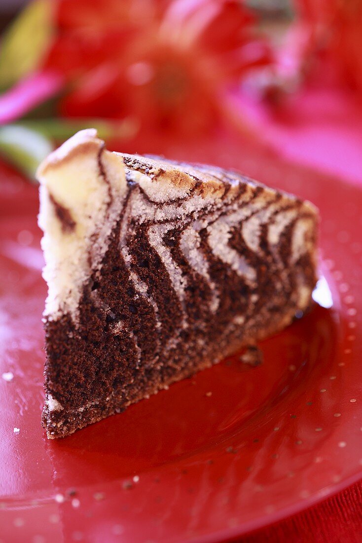 A piece of marble cake