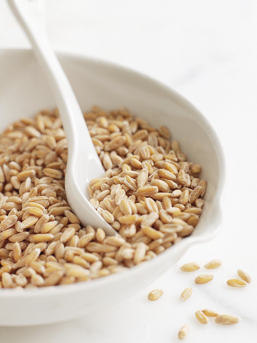 Cereal grains in bowl with spoon