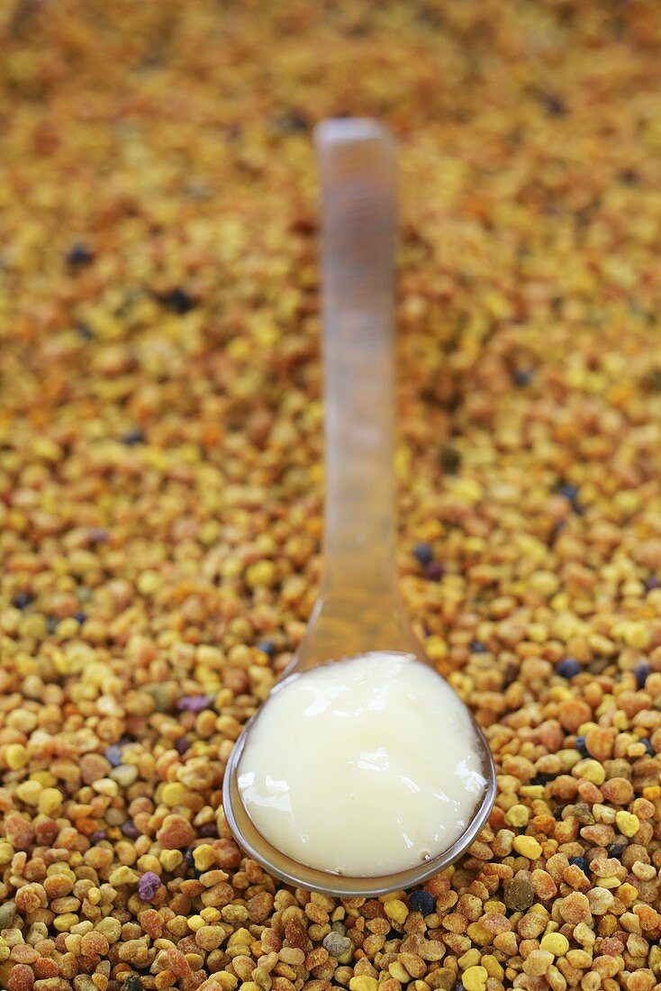 A spoonful of royal jelly on pollen