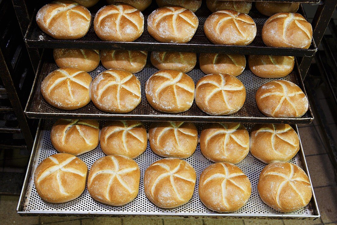 Bread rolls on baking trays