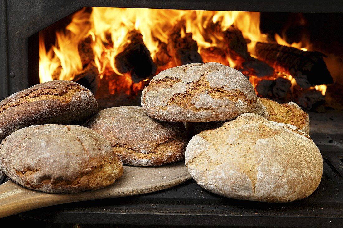 Wood-oven bread in front of fire in oven