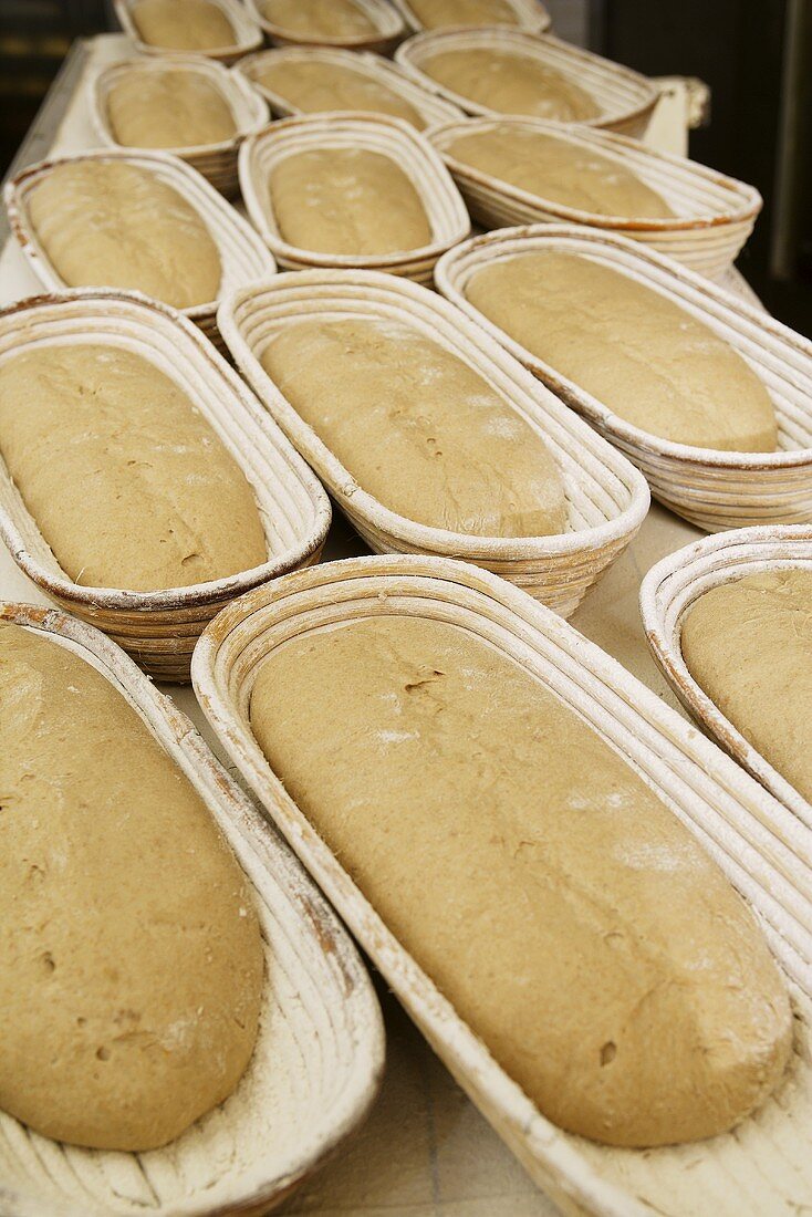 Unbaked sourdough bread in baskets