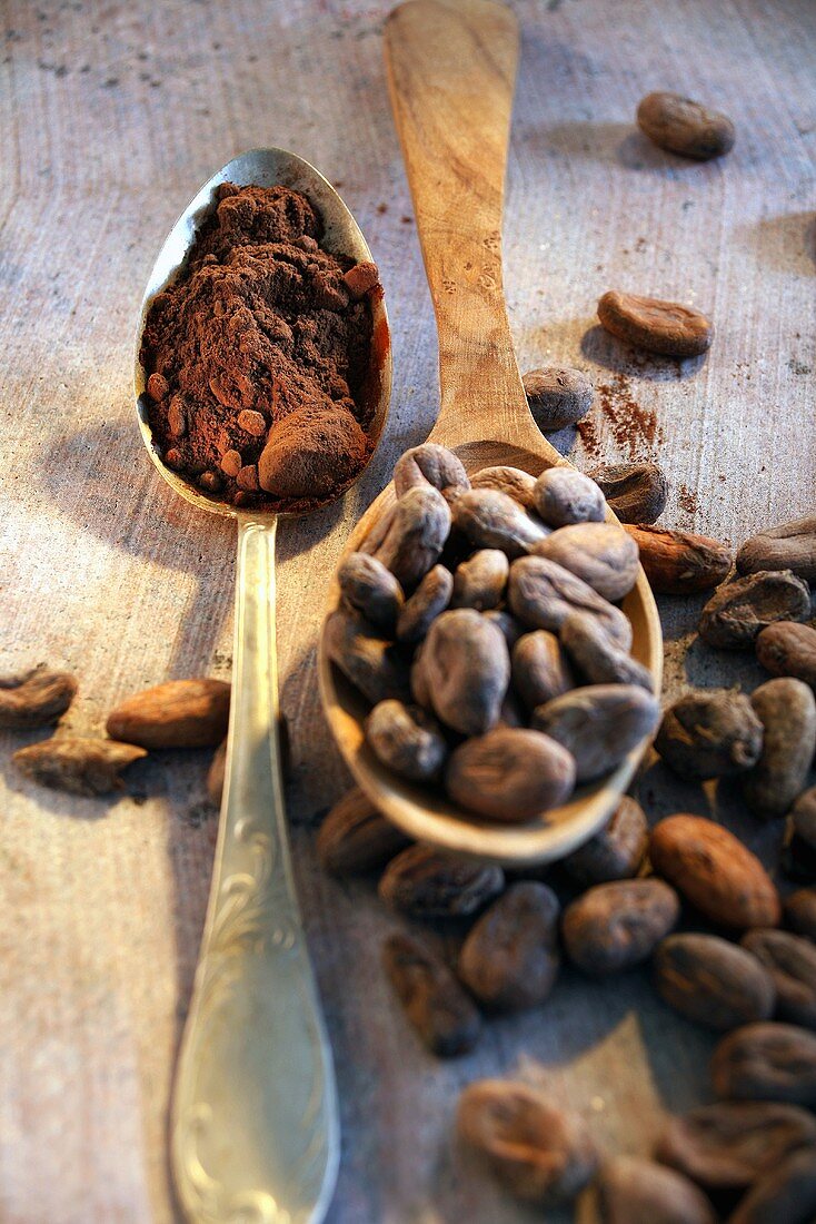 Stillleben mit gerösteten Kakaobohnen und Kakao im Löffel