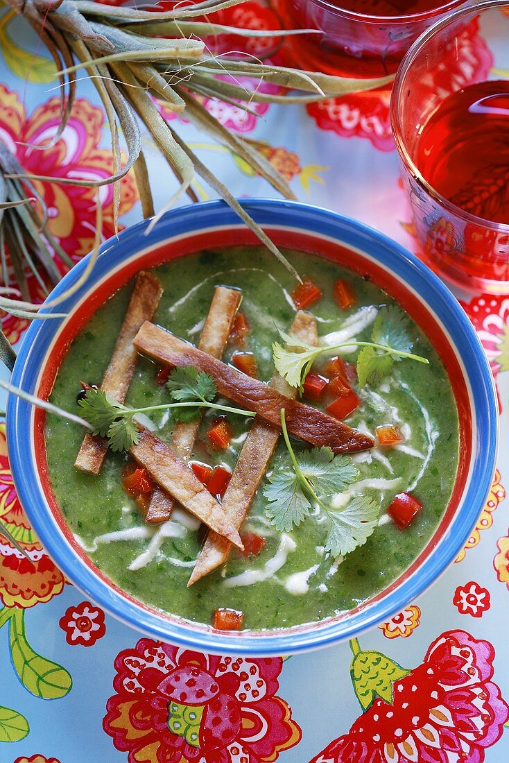 Koriandersuppe mit gebratenen Speckstreifen