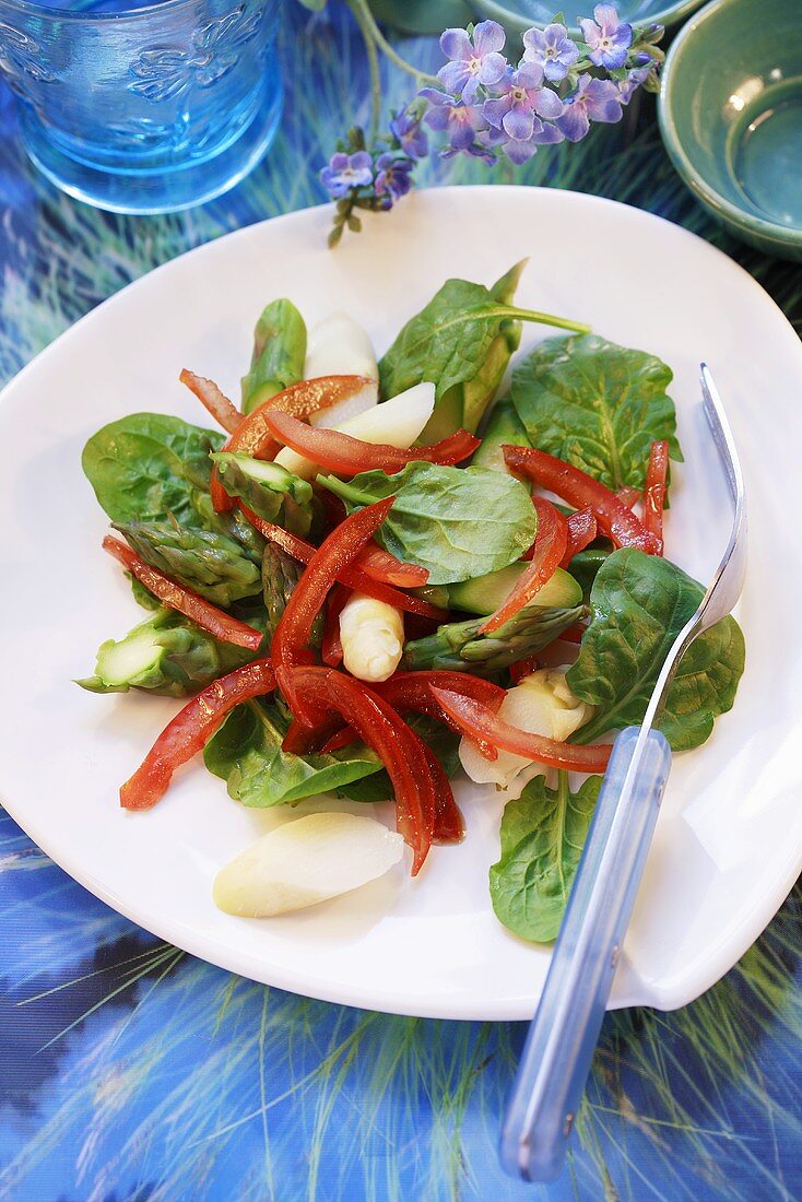 Spargelsalat mit Spinat und Paprika