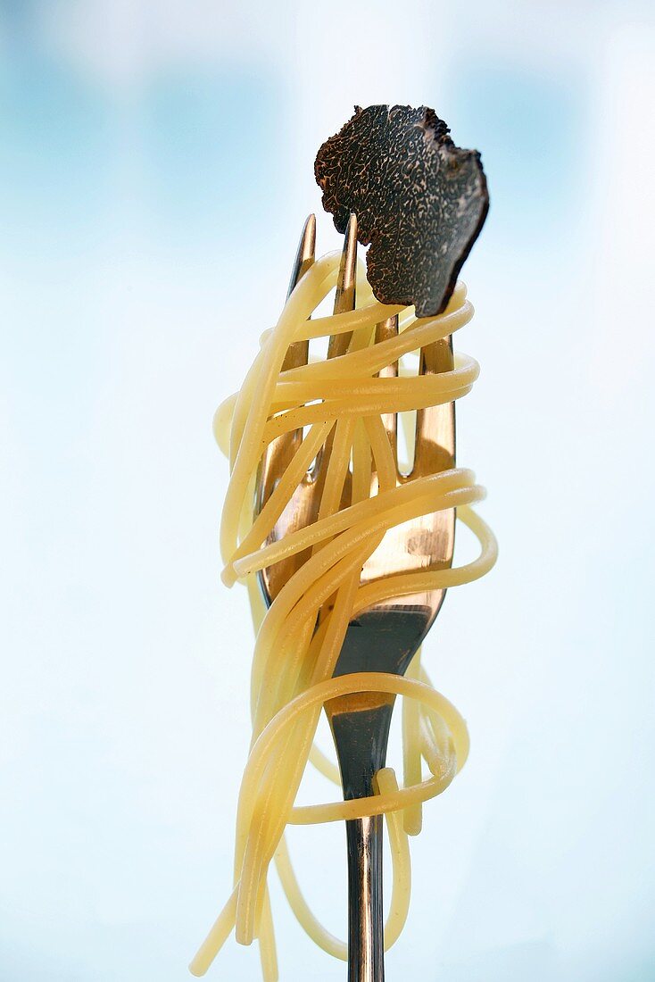 Spaghetti and black truffle on fork