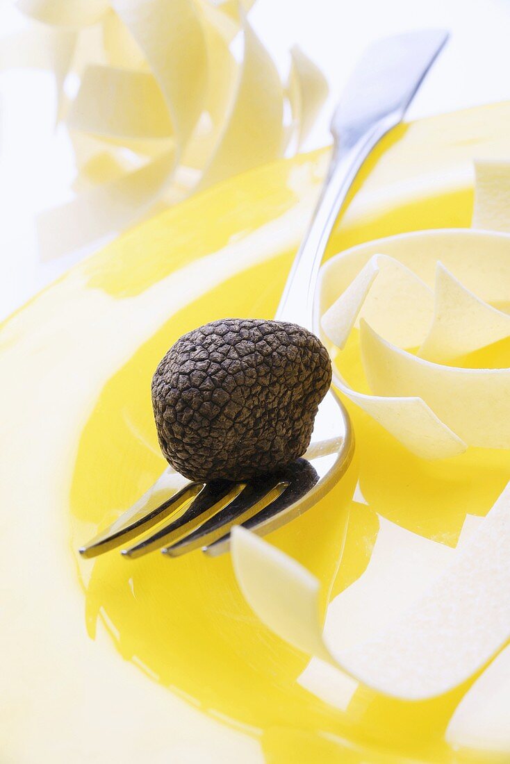 Black truffle (Chinese truffle) on fork & ribbon pasta on plate