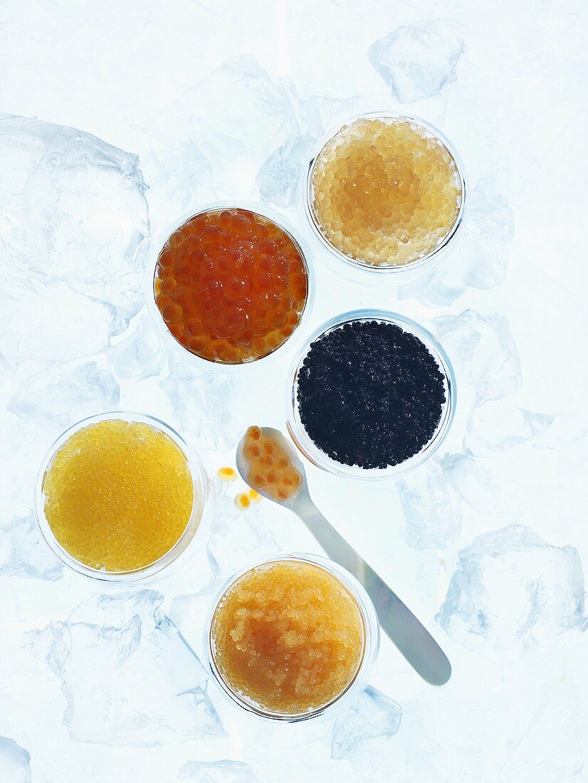 Verschiedener Kaviar auf Eis