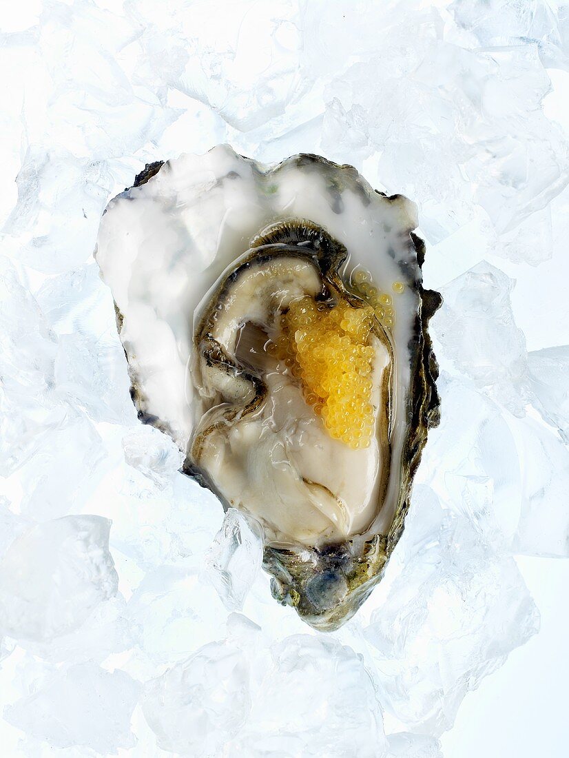 Oyster with caviar on ice