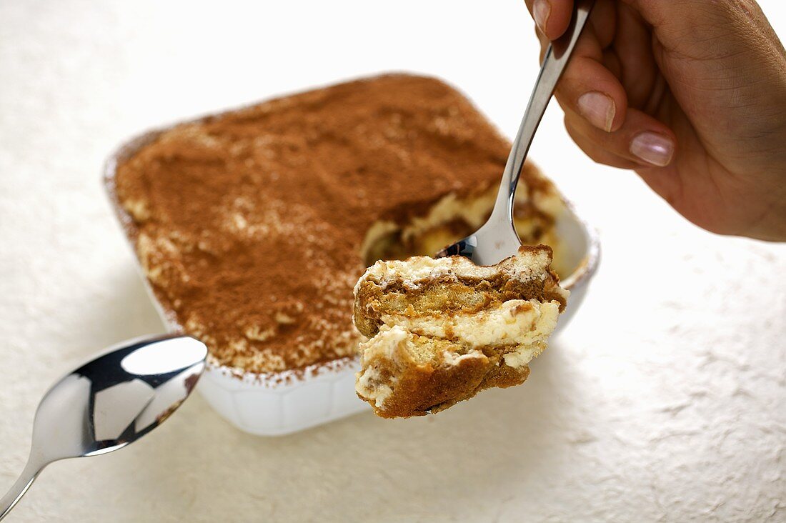 Tiramisù (Schichtspeise mit Mascarpone, Italien)