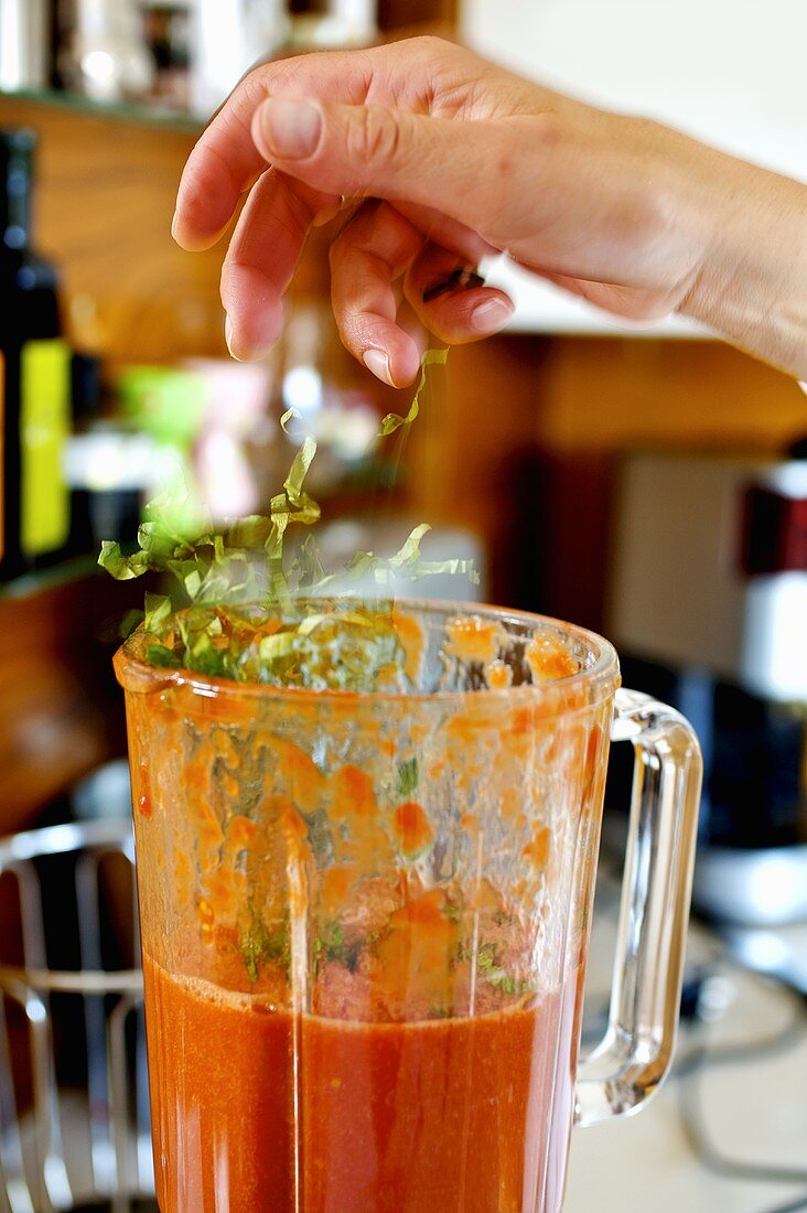 Frische Tomaten mit Basilikum im Mixer pürieren