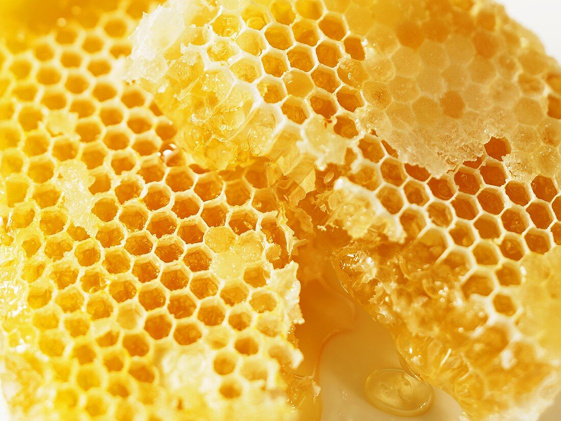Honeycomb (close-up)