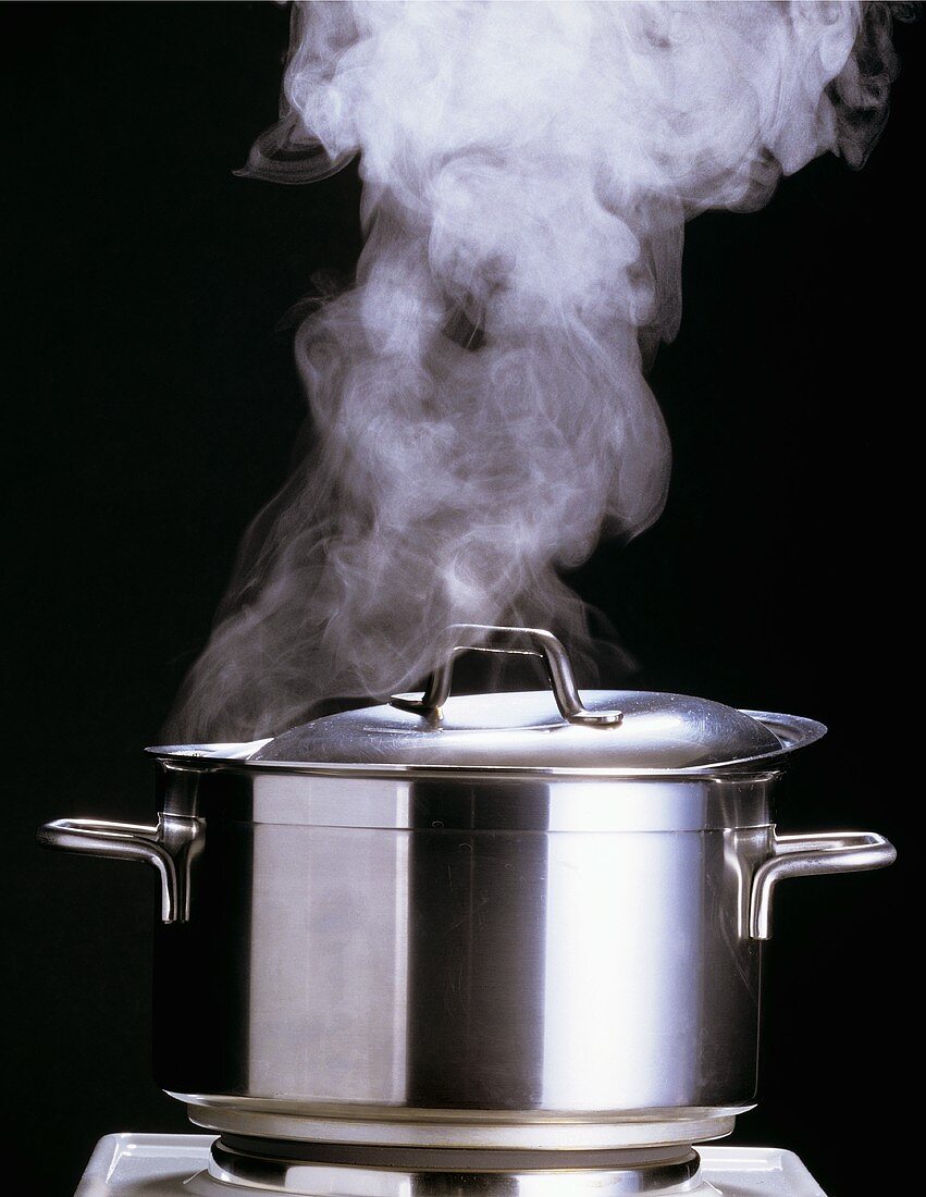 A Steaming Stock Pot with the Lid On