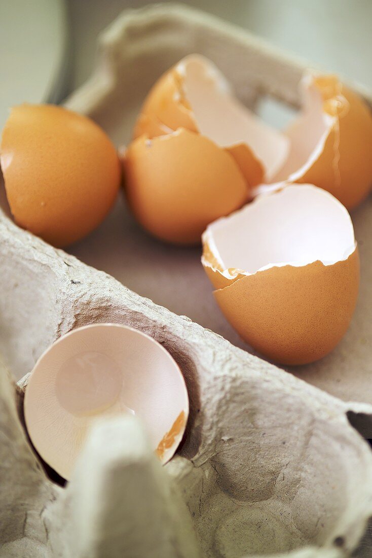 Eierschalen in einer Eierschachtel