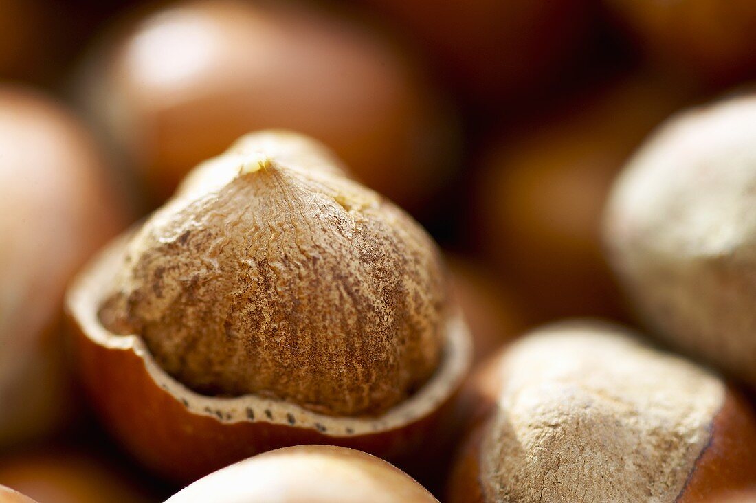 Hazelnuts, one cracked open (close-up)