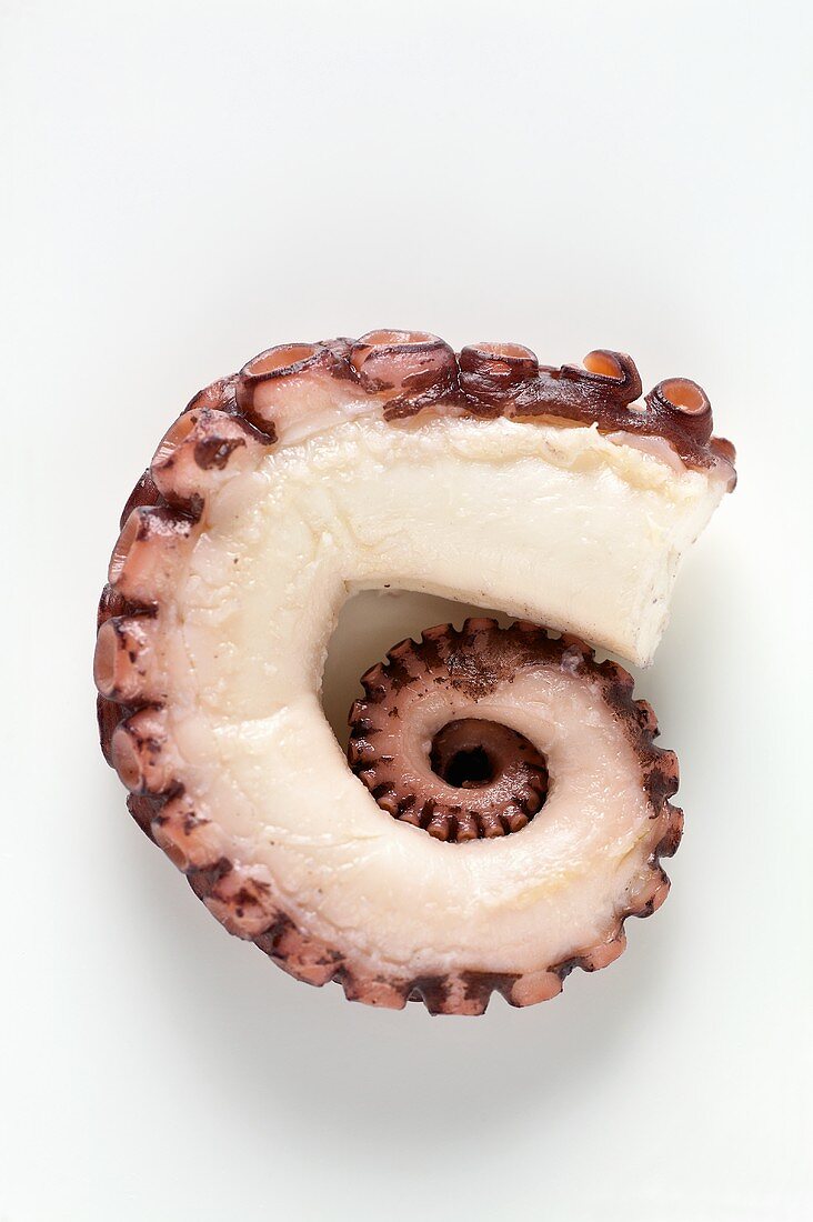 A piece of cooked octopus