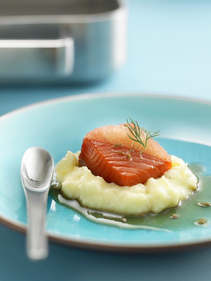 Salmon fillet on mashed potato