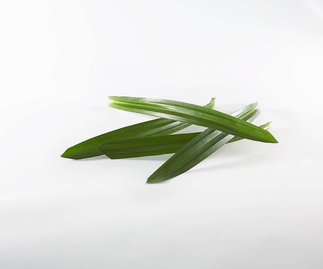 Fresh pandan leaves (Thailand)