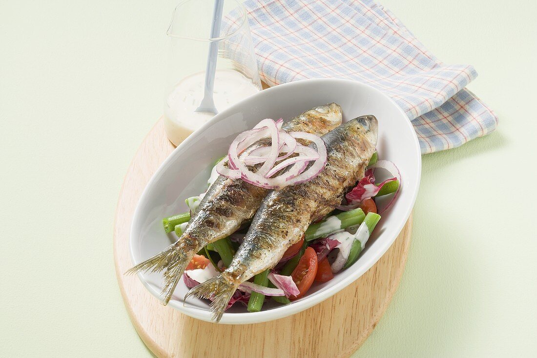 Gegrillter Hering mit Radicchio-Bohnen-Salat