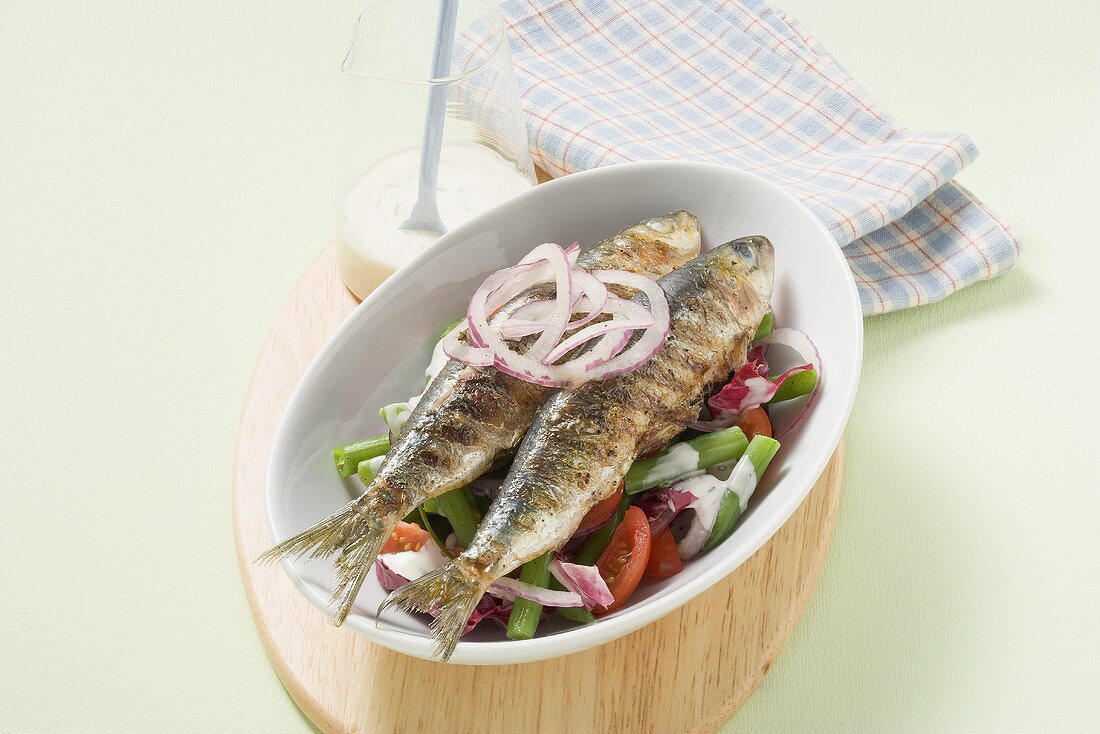 Grilled herring with radicchio and bean salad