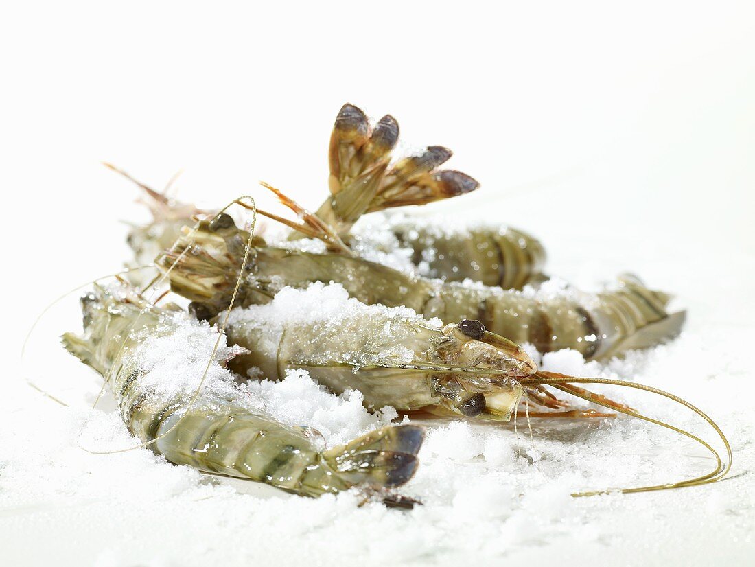 Frozen king prawns