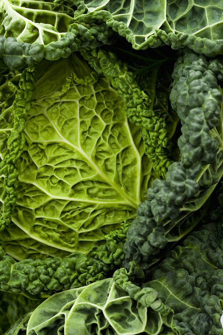 Savoy cabbage (close-up)