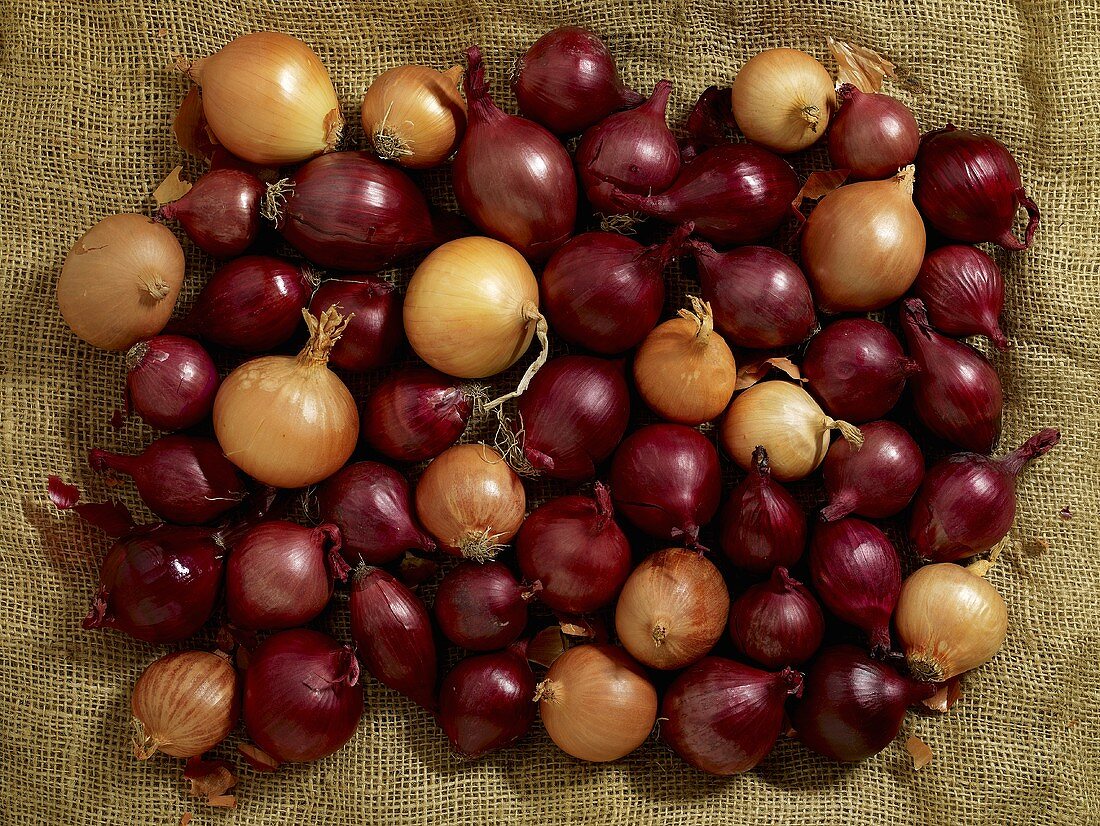 Red and brown onions on jute (overhead view)
