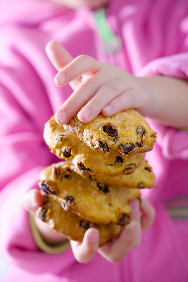 Child's hands holding raisin biscuits