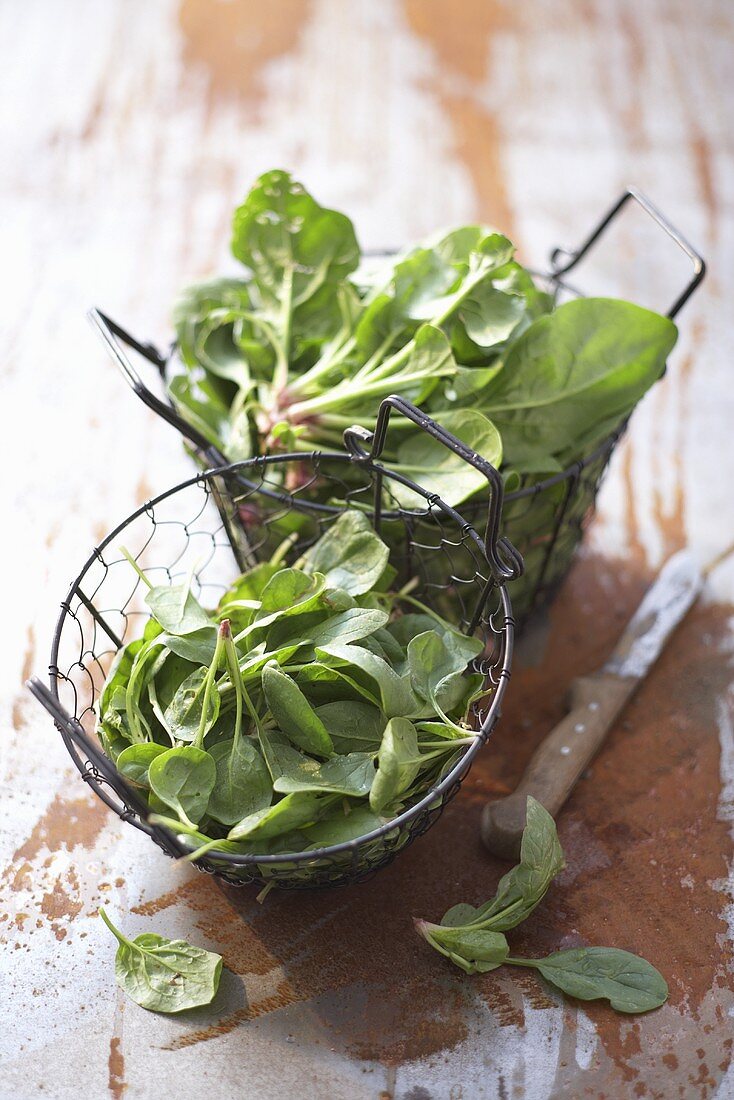 Fresh spinach in wire baskets