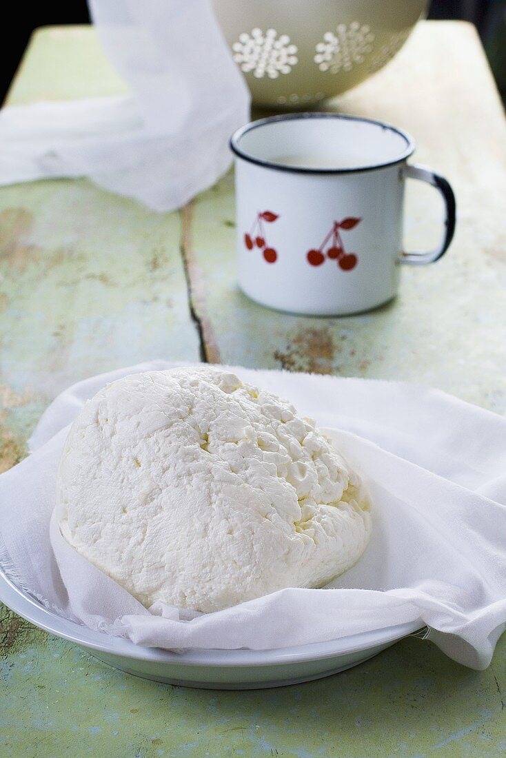 Home-made cottage cheese
