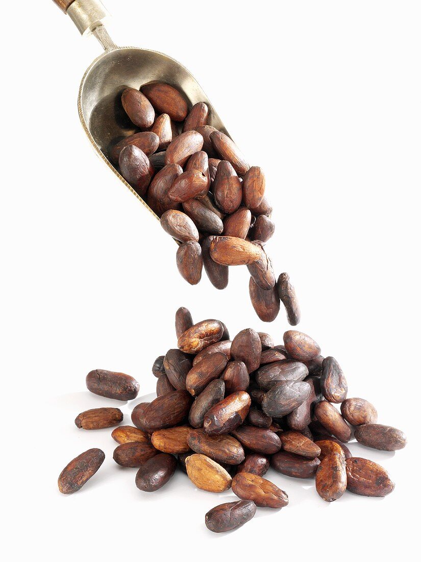 Cocoa beans falling out of small scoop