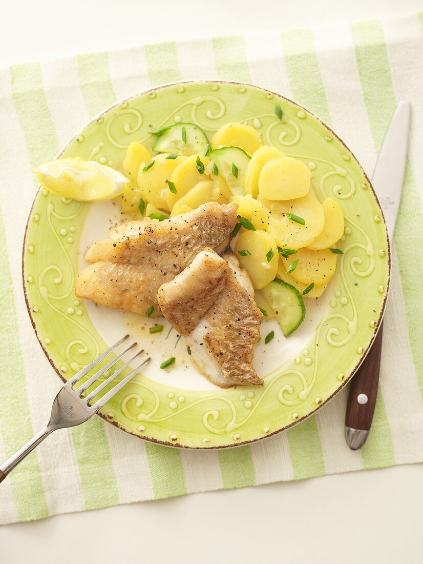 Fried fish fillets with potato salad (overhead view)