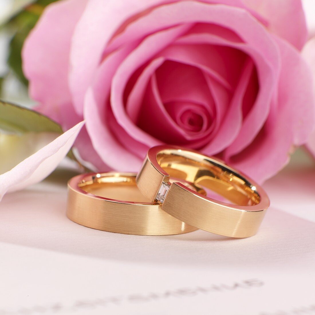 Wedding rings in front of pink rose